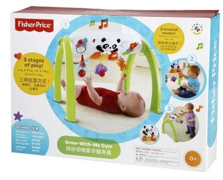     Fisher Price Y6588