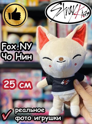       Fox Ny