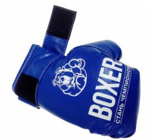    Boxer 19516 