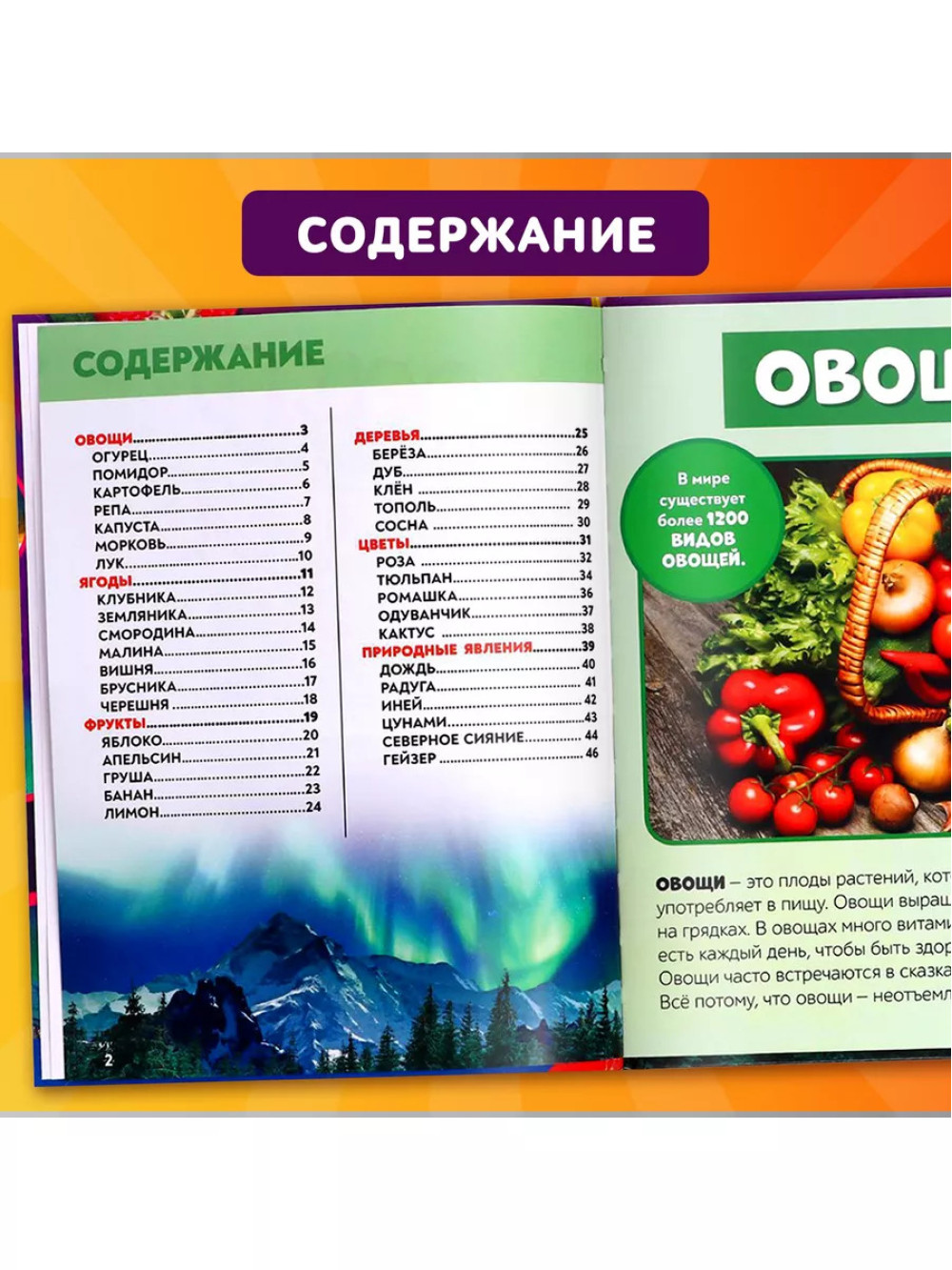 Фотоэнциклопедия для детей Мир вокруг нас