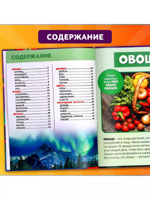Фотоэнциклопедия для детей Мир вокруг нас