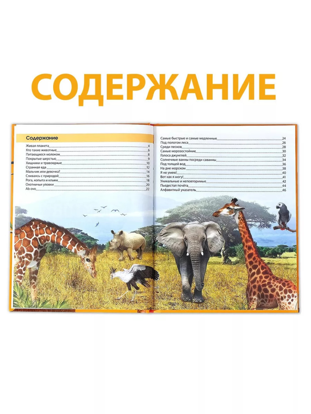 Энциклопедия 200 фактов о животных