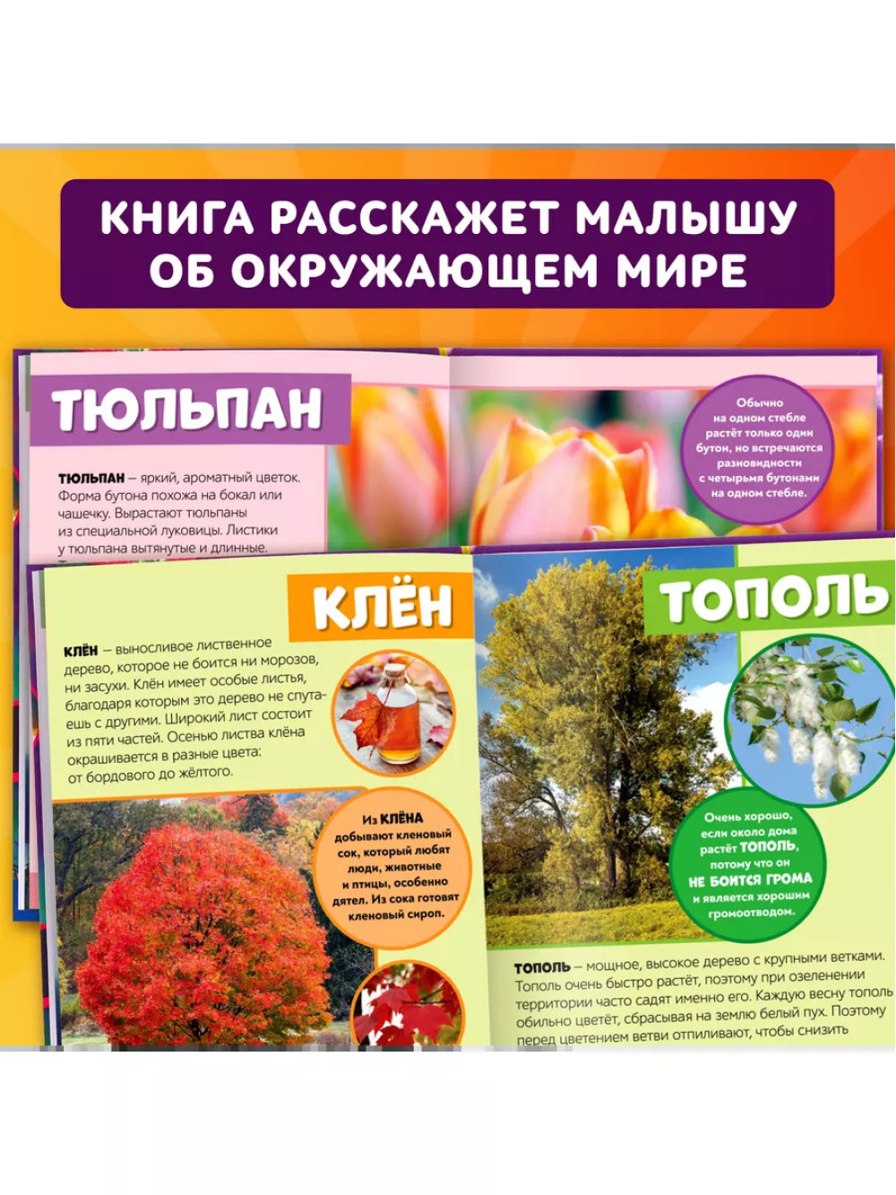 Фотоэнциклопедия для детей Мир вокруг нас