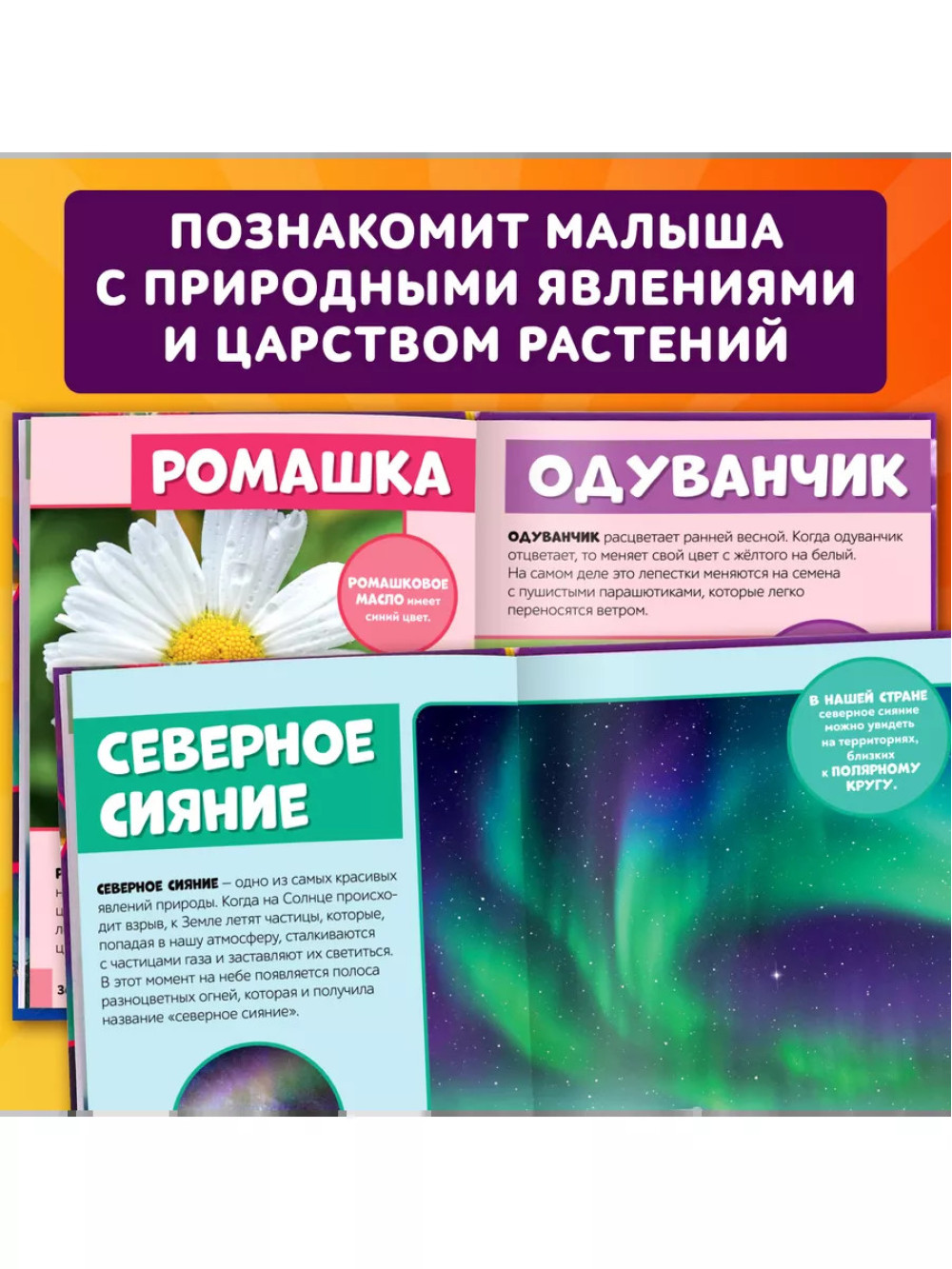 Фотоэнциклопедия для детей Мир вокруг нас