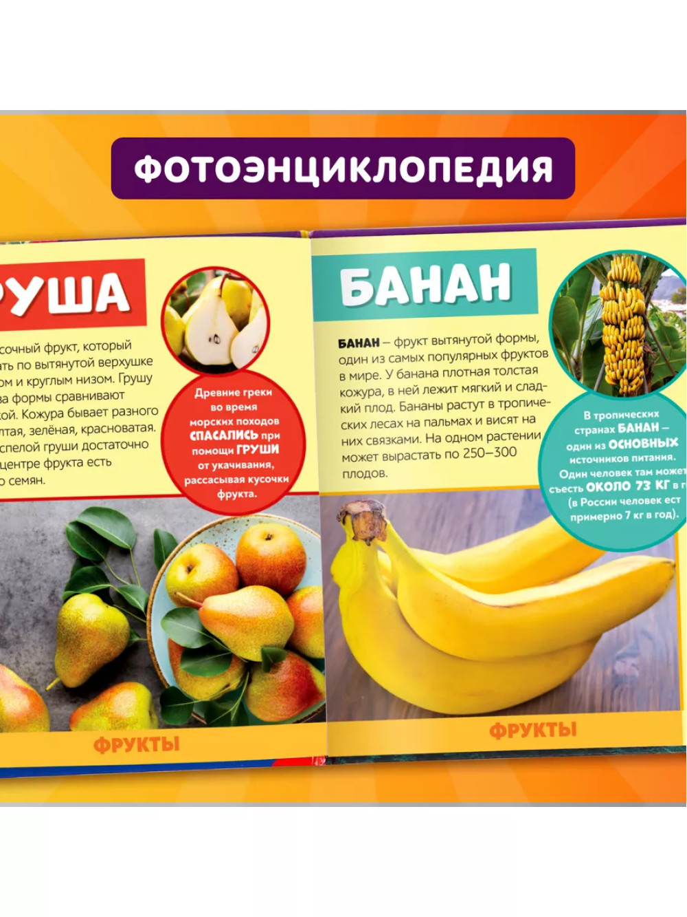 Фотоэнциклопедия для детей Мир вокруг нас