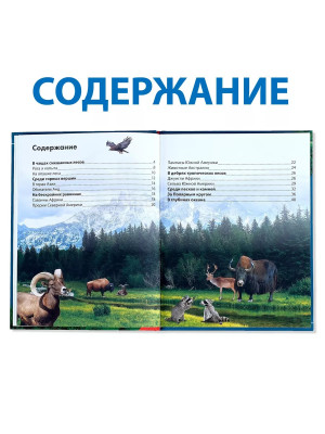 Детская энциклопедия Энциклопедия Животных
