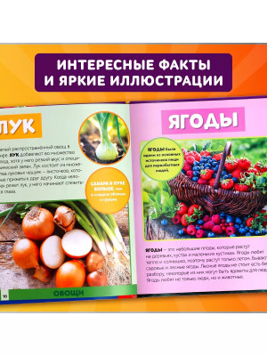 Фотоэнциклопедия для детей Мир вокруг нас