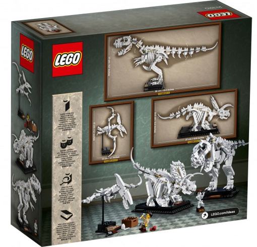 Лего 21320 Кости динозавра Lego Ideas
