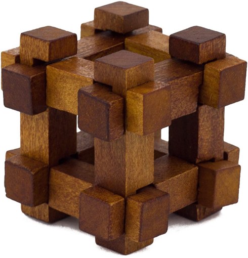 Набор из 5 головоломок Великие умы Professor Puzzle GM1124