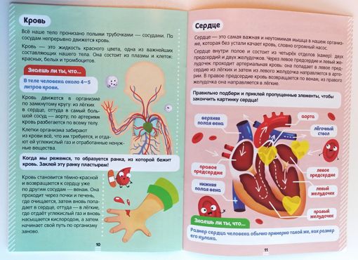 Наклейки Как устроено моё тело Буква-Ленд 4859820