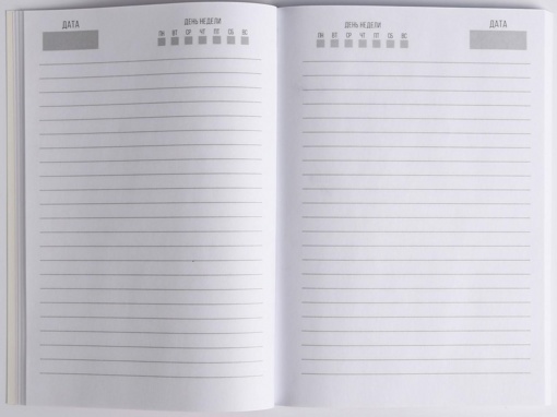 Подарочный набор Ежедневник и ручка Лама 80 листов